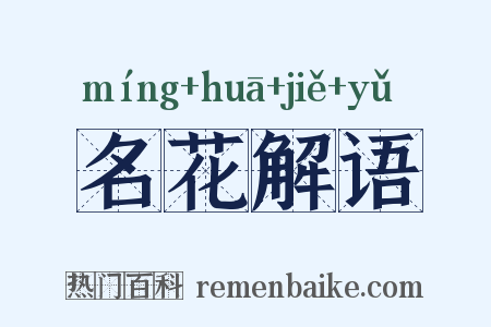 名花解语是什么意思的图片